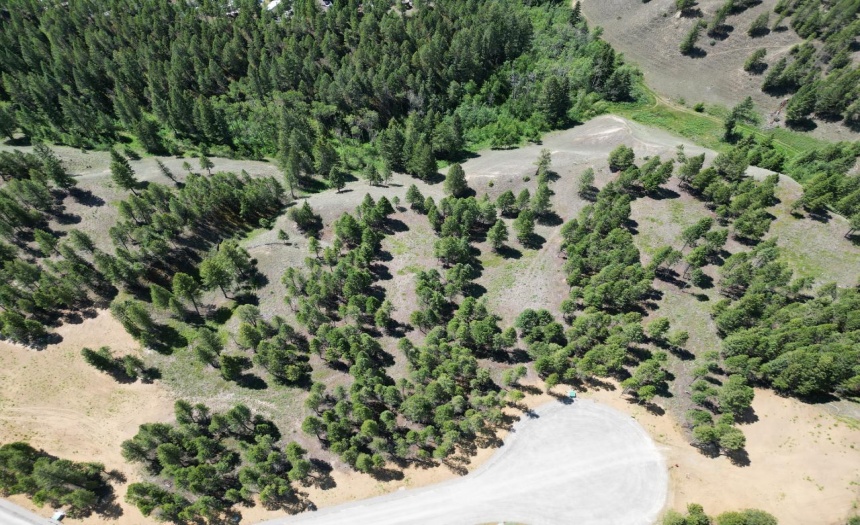Lot 16 SADDLEWOOD LANE, Radium Hot Springs, British Columbia V0A1M0, ,Vacant Land,For Sale,SADDLEWOOD LANE,2473866