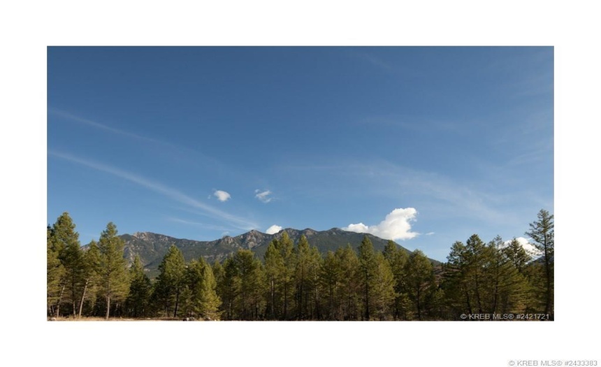 Lot 17 SADDLEWOOD LANE, Radium Hot Springs, British Columbia V0A1M0, ,Vacant Land,For Sale,SADDLEWOOD LANE,2473867