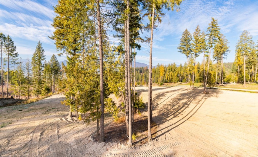 Lot 6 AIRPORT ROAD, Lister, British Columbia V0B1G2, ,Vacant Land,For Sale,AIRPORT ROAD,2473878