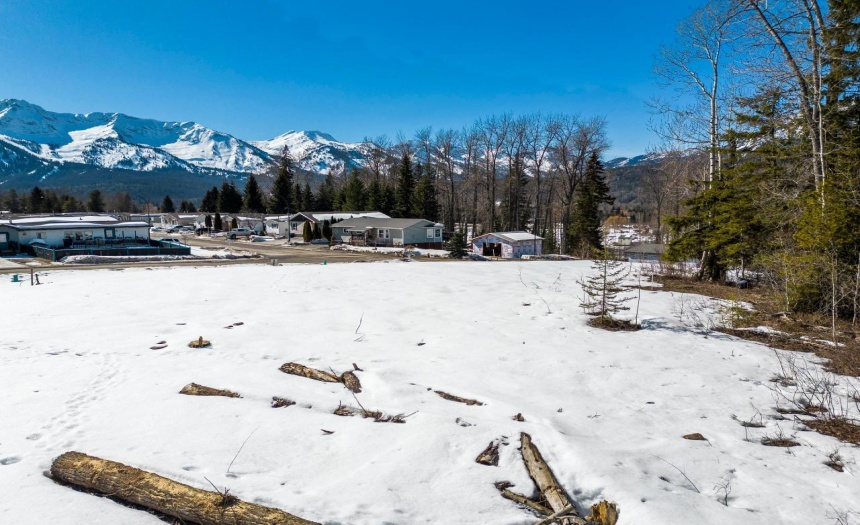 113 WHITETAIL DRIVE, Fernie, British Columbia V0B1M1, ,Vacant Land,For Sale,WHITETAIL DRIVE,2473926