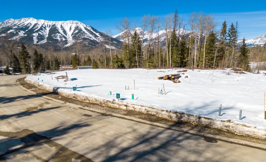 113 WHITETAIL DRIVE, Fernie, British Columbia V0B1M1, ,Vacant Land,For Sale,WHITETAIL DRIVE,2473926