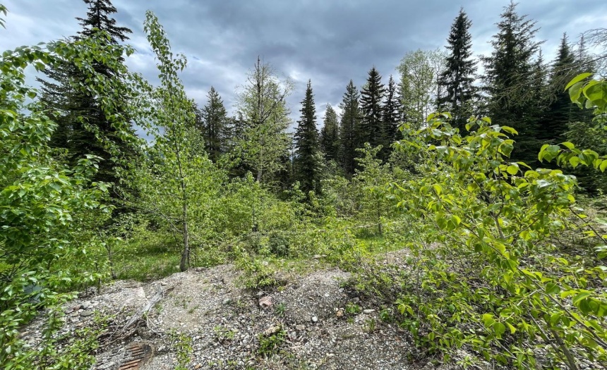 1596 COLUMBIA VALLEY VIEW, Golden, British Columbia V0A1H2, ,Vacant Land,For Sale,COLUMBIA VALLEY VIEW,2473992