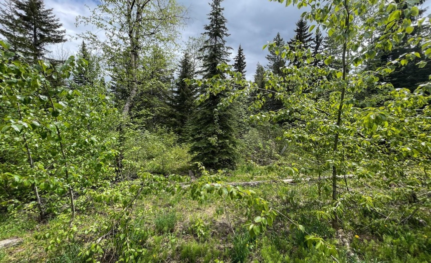 1596 COLUMBIA VALLEY VIEW, Golden, British Columbia V0A1H2, ,Vacant Land,For Sale,COLUMBIA VALLEY VIEW,2473992