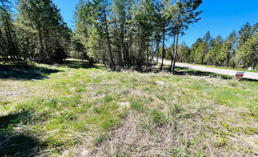 Lot 82 PINERIDGE MOUNTAIN TRAIL, Invermere, British Columbia V0A1k3, ,Vacant Land,For Sale,PINERIDGE MOUNTAIN TRAIL,2470720