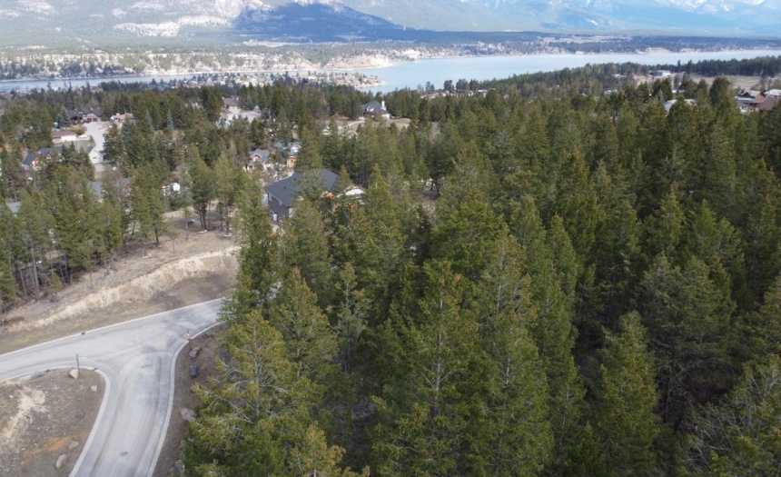 Lot 82 PINERIDGE MOUNTAIN TRAIL, Invermere, British Columbia V0A1k3, ,Vacant Land,For Sale,PINERIDGE MOUNTAIN TRAIL,2470720