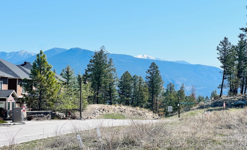 Lot 82 PINERIDGE MOUNTAIN TRAIL, Invermere, British Columbia V0A1k3, ,Vacant Land,For Sale,PINERIDGE MOUNTAIN TRAIL,2470720