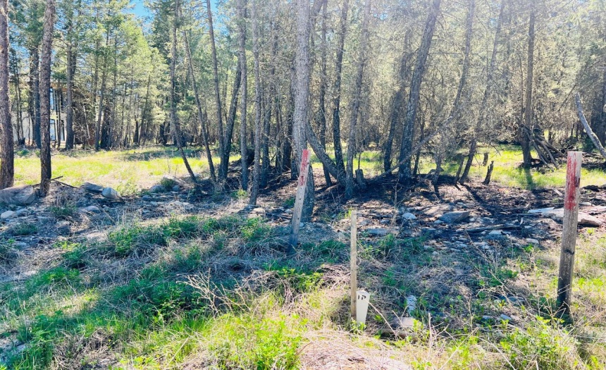 Lot 82 PINERIDGE MOUNTAIN TRAIL, Invermere, British Columbia V0A1k3, ,Vacant Land,For Sale,PINERIDGE MOUNTAIN TRAIL,2470720