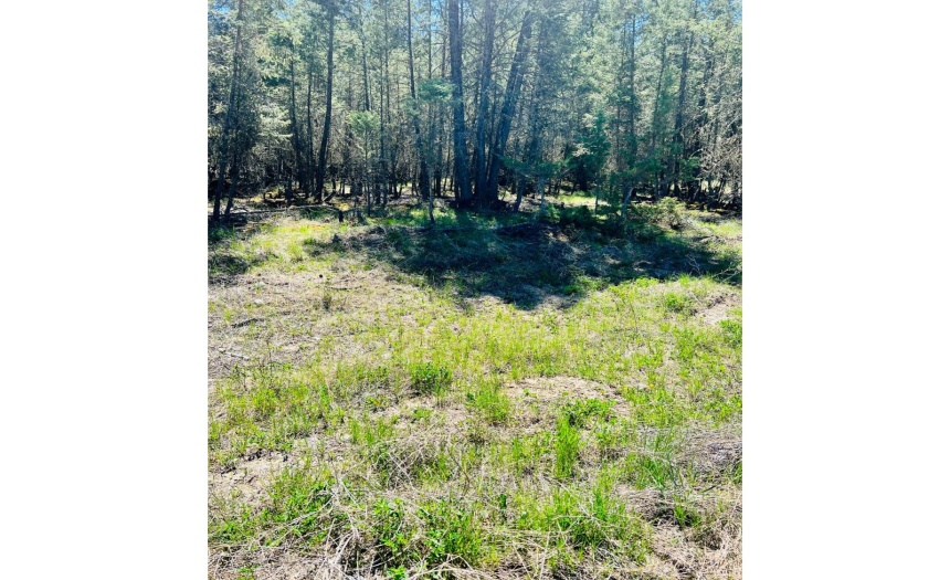 Lot 82 PINERIDGE MOUNTAIN TRAIL, Invermere, British Columbia V0A1k3, ,Vacant Land,For Sale,PINERIDGE MOUNTAIN TRAIL,2470720