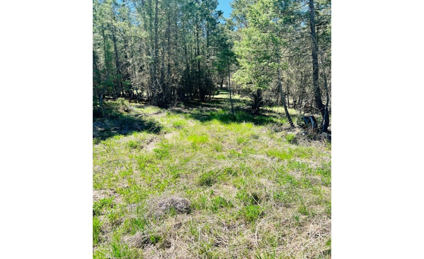 Lot 82 PINERIDGE MOUNTAIN TRAIL, Invermere, British Columbia V0A1k3, ,Vacant Land,For Sale,PINERIDGE MOUNTAIN TRAIL,2470720