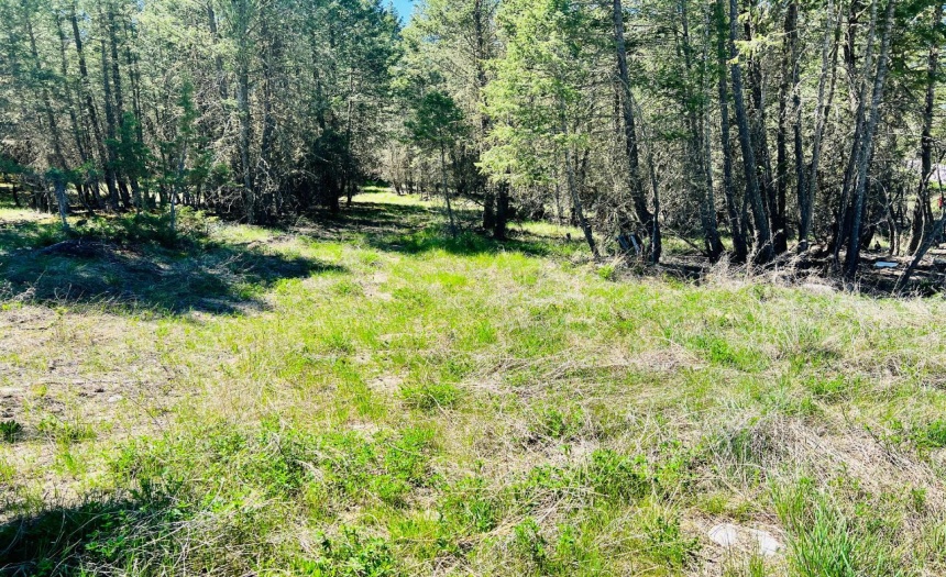 Lot 82 PINERIDGE MOUNTAIN TRAIL, Invermere, British Columbia V0A1k3, ,Vacant Land,For Sale,PINERIDGE MOUNTAIN TRAIL,2470720