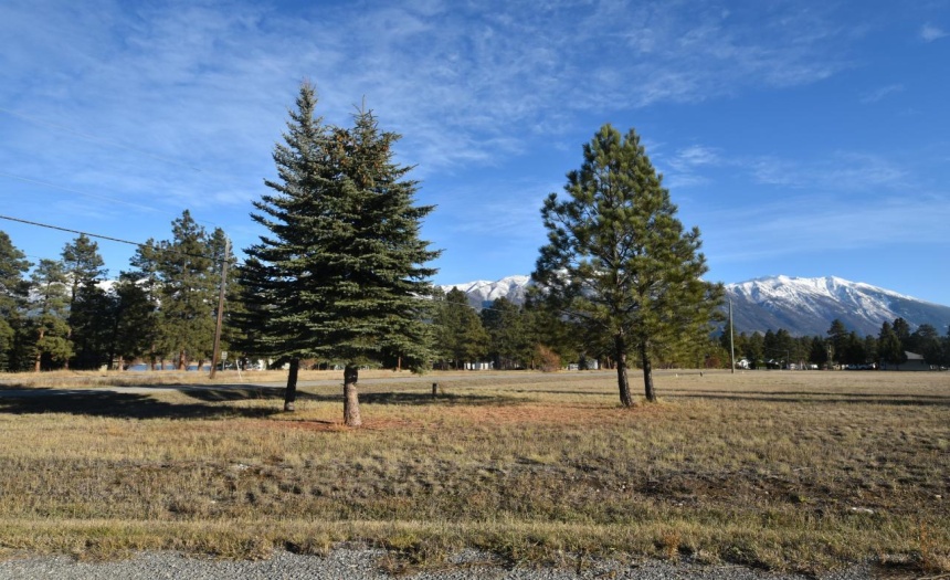 Lot A DOGWOOD ROAD, Wasa, British Columbia V0B2K0, ,Vacant Land,For Sale,DOGWOOD ROAD,2474057