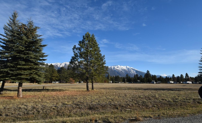 Lot B DOGWOOD ROAD, Wasa, British Columbia V0B2K0, ,Vacant Land,For Sale,DOGWOOD ROAD,2474061