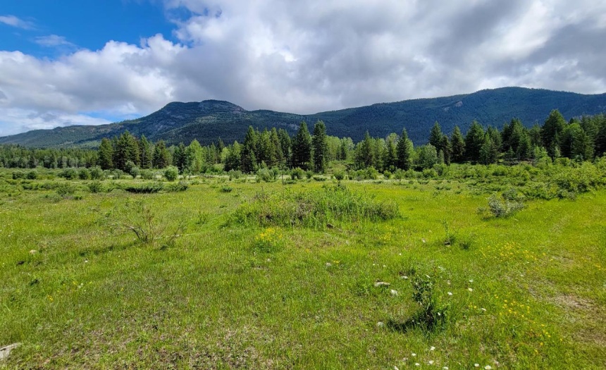 4265 GIANT MINE ROAD, Spillimacheen, British Columbia V0A1P0, ,Vacant Land,For Sale,GIANT MINE ROAD,2474162