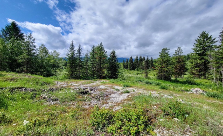 4265 GIANT MINE ROAD, Spillimacheen, British Columbia V0A1P0, ,Vacant Land,For Sale,GIANT MINE ROAD,2474162