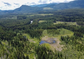 4265 GIANT MINE ROAD, Spillimacheen, British Columbia V0A1P0, ,Vacant Land,For Sale,GIANT MINE ROAD,2474162