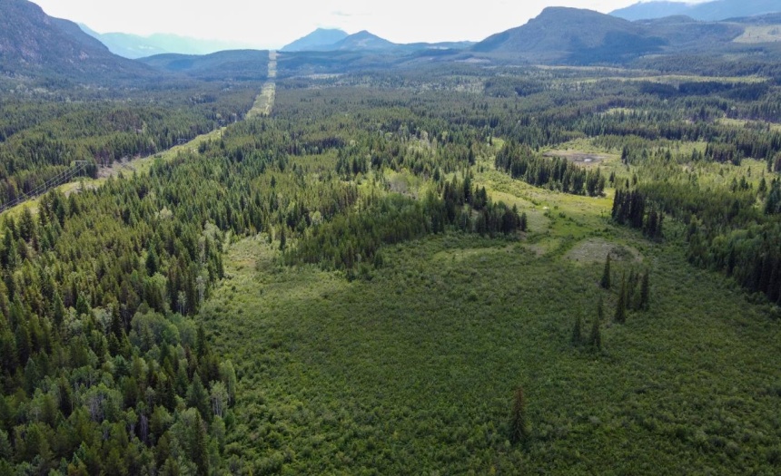 4265 GIANT MINE ROAD, Spillimacheen, British Columbia V0A1P0, ,Vacant Land,For Sale,GIANT MINE ROAD,2474162