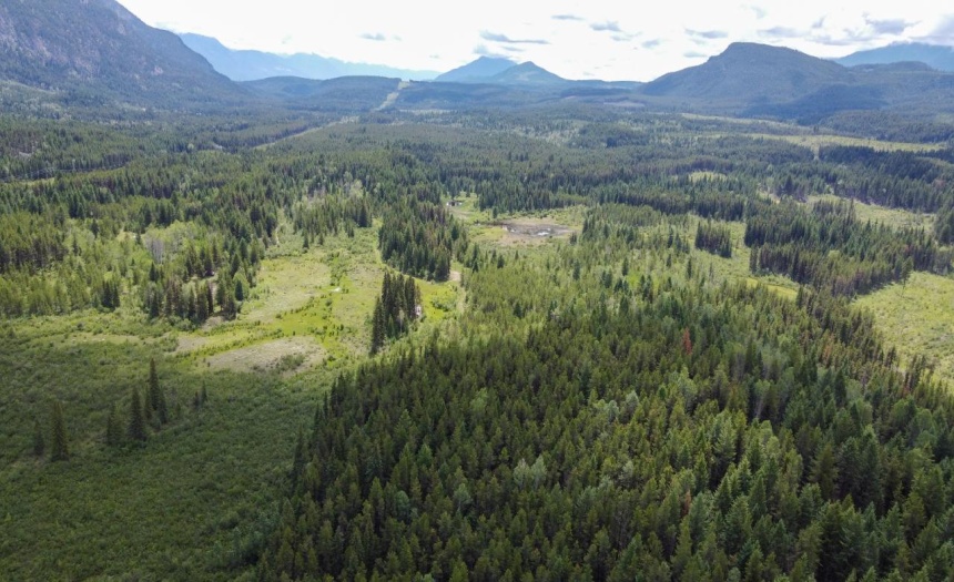 4265 GIANT MINE ROAD, Spillimacheen, British Columbia V0A1P0, ,Vacant Land,For Sale,GIANT MINE ROAD,2474162