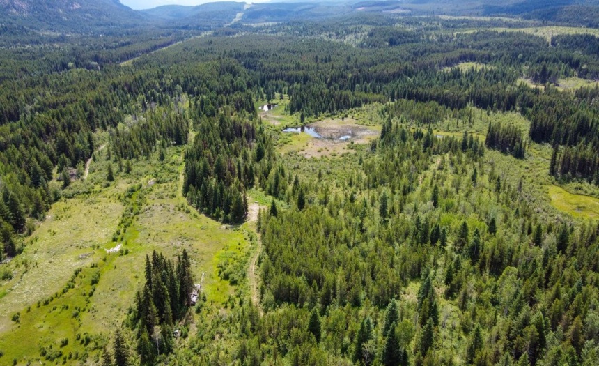 4265 GIANT MINE ROAD, Spillimacheen, British Columbia V0A1P0, ,Vacant Land,For Sale,GIANT MINE ROAD,2474162