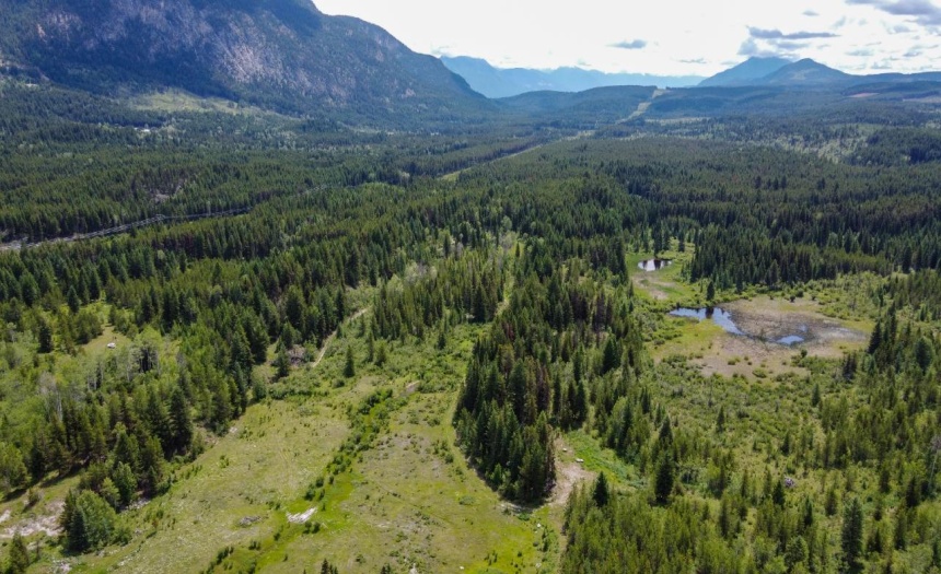 4265 GIANT MINE ROAD, Spillimacheen, British Columbia V0A1P0, ,Vacant Land,For Sale,GIANT MINE ROAD,2474162