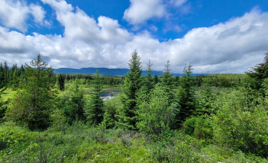 4265 GIANT MINE ROAD, Spillimacheen, British Columbia V0A1P0, ,Vacant Land,For Sale,GIANT MINE ROAD,2474162