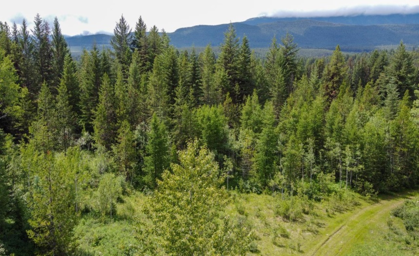 4265 GIANT MINE ROAD, Spillimacheen, British Columbia V0A1P0, ,Vacant Land,For Sale,GIANT MINE ROAD,2474162