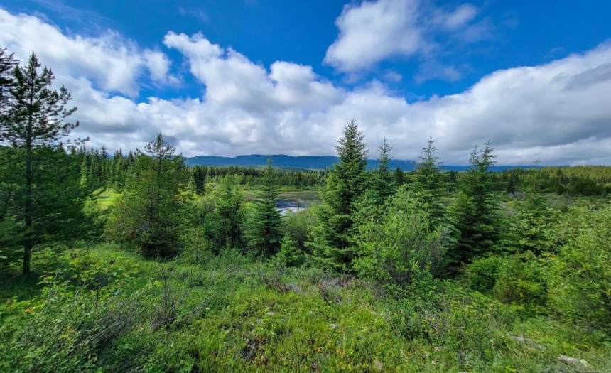 4265 GIANT MINE ROAD, Spillimacheen, British Columbia V0A1P0, ,Vacant Land,For Sale,GIANT MINE ROAD,2474162