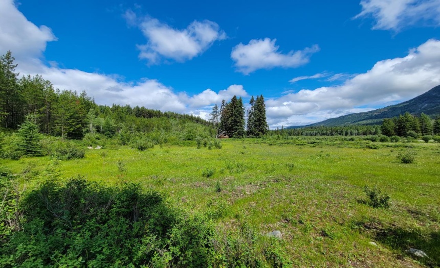 4265 GIANT MINE ROAD, Spillimacheen, British Columbia V0A1P0, ,Vacant Land,For Sale,GIANT MINE ROAD,2474162