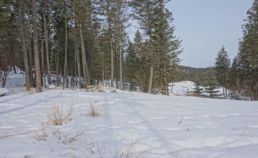 2472 CASTLESTONE DRIVE, Invermere, British Columbia V0A1K0, ,Vacant Land,For Sale,CASTLESTONE DRIVE,2474172