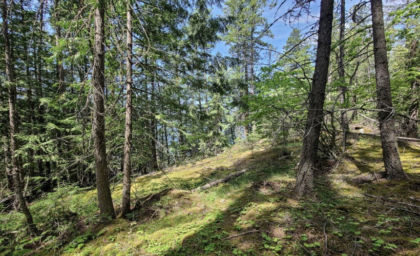 Lot 1 PILOT BAY ROAD, Kootenay Bay, British Columbia V0B1X0, ,Vacant Land,For Sale,PILOT BAY ROAD,2474174