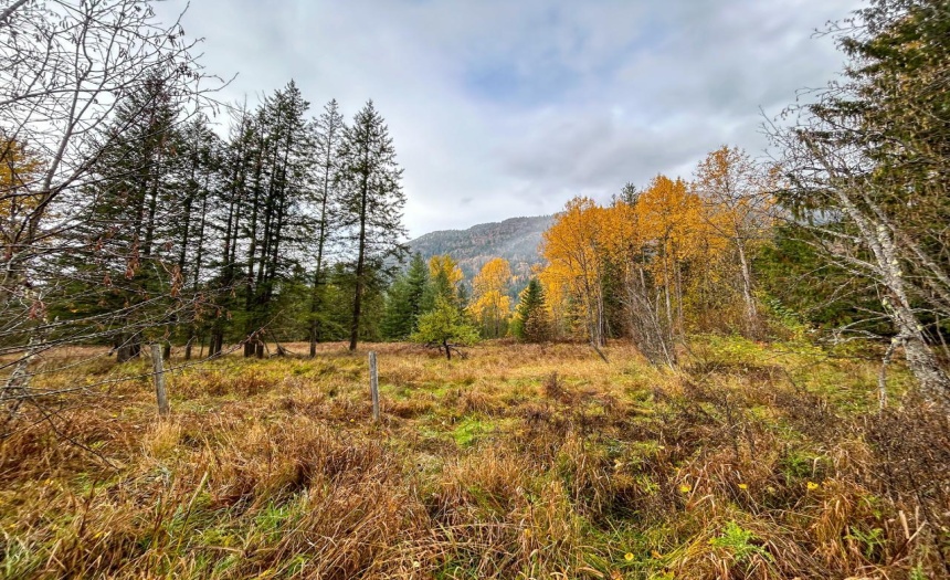 Lot 2 HEDSTROM ROAD, Crawford Bay, British Columbia V0B1E0, ,Vacant Land,For Sale,HEDSTROM ROAD,2474194