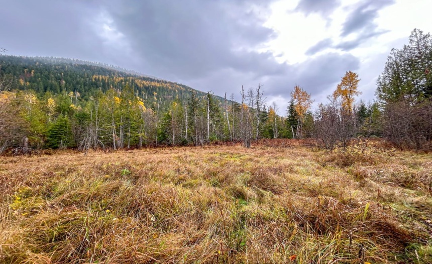 Lot 2 HEDSTROM ROAD, Crawford Bay, British Columbia V0B1E0, ,Vacant Land,For Sale,HEDSTROM ROAD,2474194