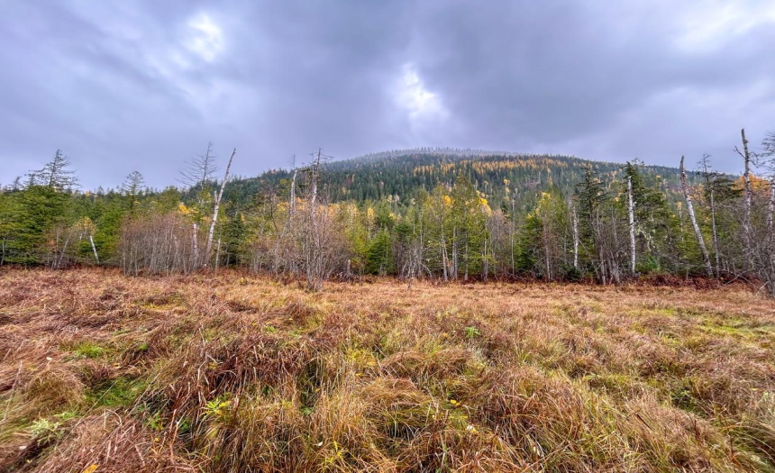 Lot 2 HEDSTROM ROAD, Crawford Bay, British Columbia V0B1E0, ,Vacant Land,For Sale,HEDSTROM ROAD,2474194