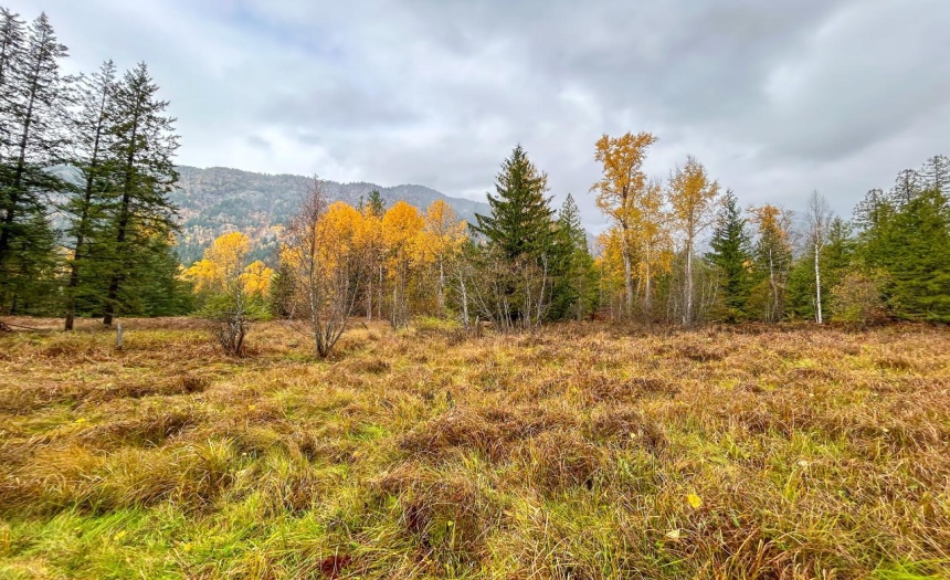 Lot 2 HEDSTROM ROAD, Crawford Bay, British Columbia V0B1E0, ,Vacant Land,For Sale,HEDSTROM ROAD,2474194