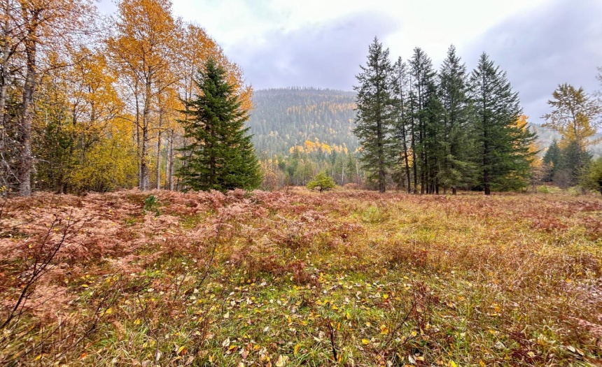 Lot 2 HEDSTROM ROAD, Crawford Bay, British Columbia V0B1E0, ,Vacant Land,For Sale,HEDSTROM ROAD,2474194