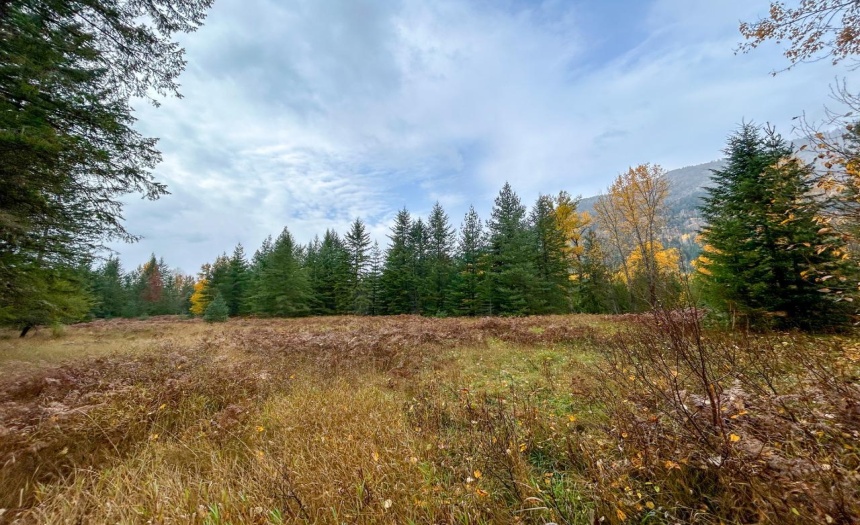 Lot 2 HEDSTROM ROAD, Crawford Bay, British Columbia V0B1E0, ,Vacant Land,For Sale,HEDSTROM ROAD,2474194