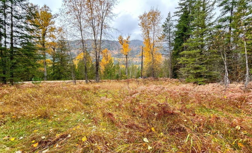 Lot 2 HEDSTROM ROAD, Crawford Bay, British Columbia V0B1E0, ,Vacant Land,For Sale,HEDSTROM ROAD,2474194