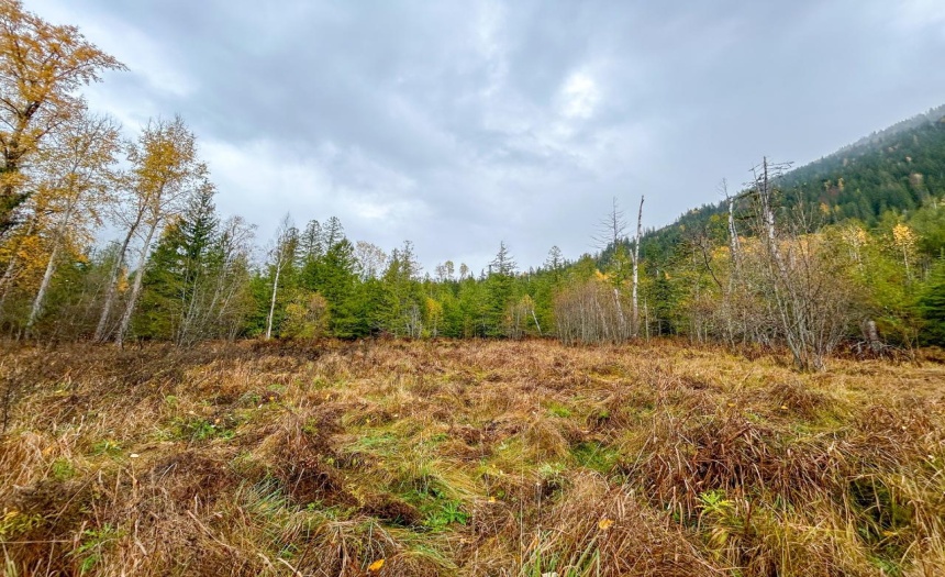 Lot 2 HEDSTROM ROAD, Crawford Bay, British Columbia V0B1E0, ,Vacant Land,For Sale,HEDSTROM ROAD,2474194