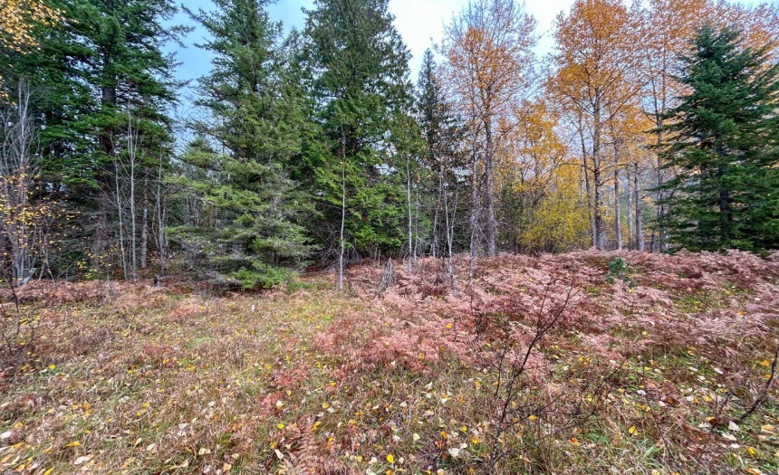 Lot 2 HEDSTROM ROAD, Crawford Bay, British Columbia V0B1E0, ,Vacant Land,For Sale,HEDSTROM ROAD,2474194