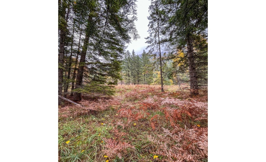 Lot 2 HEDSTROM ROAD, Crawford Bay, British Columbia V0B1E0, ,Vacant Land,For Sale,HEDSTROM ROAD,2474194