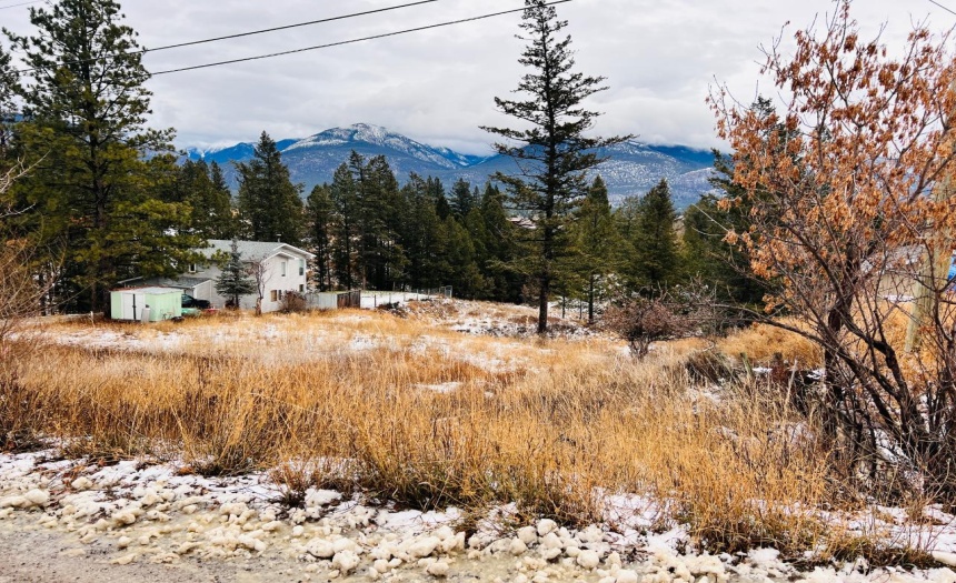 1823 12A AVENUE, Invermere, British Columbia V0A1K0, ,Vacant Land,For Sale,12A AVENUE,2474248