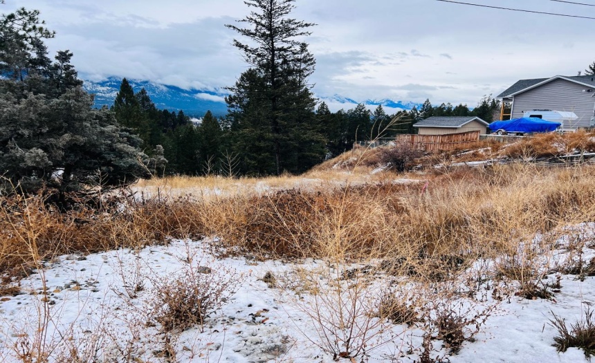 1823 12A AVENUE, Invermere, British Columbia V0A1K0, ,Vacant Land,For Sale,12A AVENUE,2474248