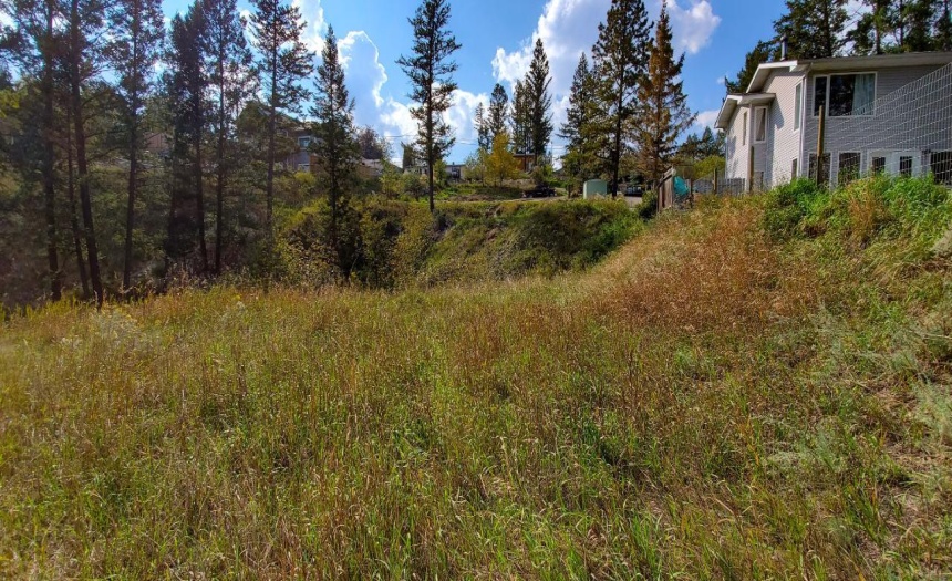 1823 12A AVENUE, Invermere, British Columbia V0A1K0, ,Vacant Land,For Sale,12A AVENUE,2474248