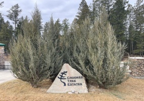 Lot 15 CROOKED TREE PLACE, Fairmont Hot Springs, British Columbia V0B1L1, ,Vacant Land,For Sale,CROOKED TREE PLACE,2470320