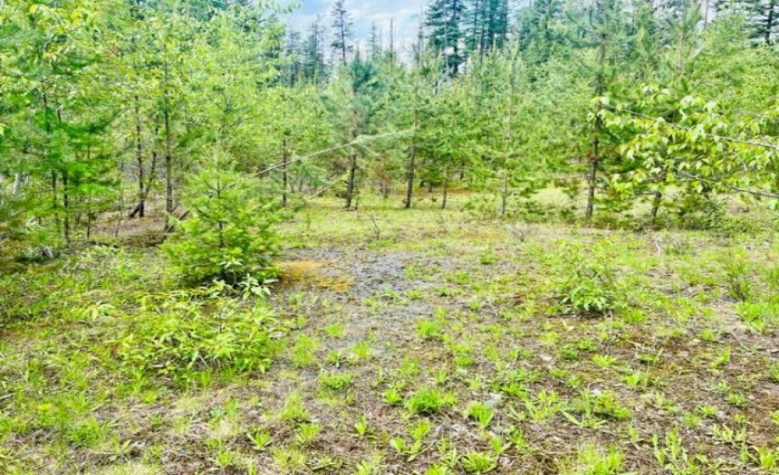 Lot A WENGER ROAD, Arrow Creek, British Columbia V0B1G9, ,Vacant Land,For Sale,WENGER ROAD,2471005