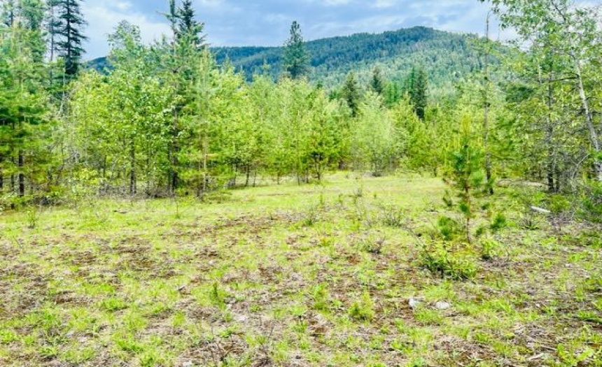 Lot A WENGER ROAD, Arrow Creek, British Columbia V0B1G9, ,Vacant Land,For Sale,WENGER ROAD,2471005