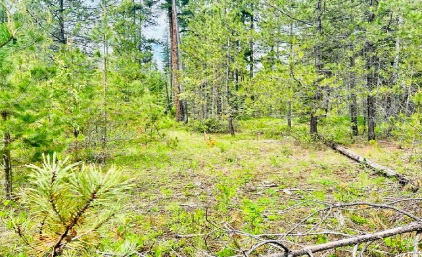 Lot A WENGER ROAD, Arrow Creek, British Columbia V0B1G9, ,Vacant Land,For Sale,WENGER ROAD,2471005