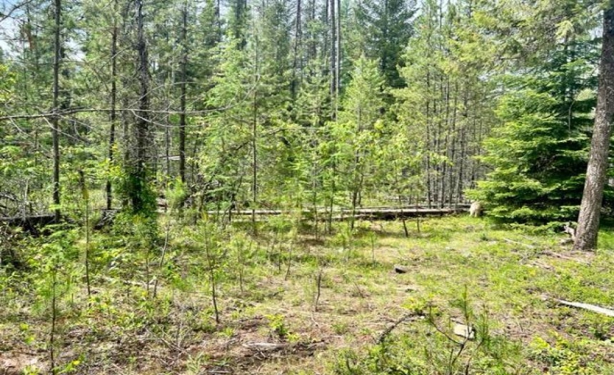 Lot A WENGER ROAD, Arrow Creek, British Columbia V0B1G9, ,Vacant Land,For Sale,WENGER ROAD,2471005