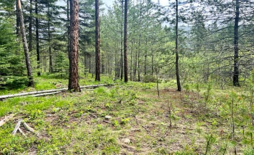 Lot A WENGER ROAD, Arrow Creek, British Columbia V0B1G9, ,Vacant Land,For Sale,WENGER ROAD,2471005