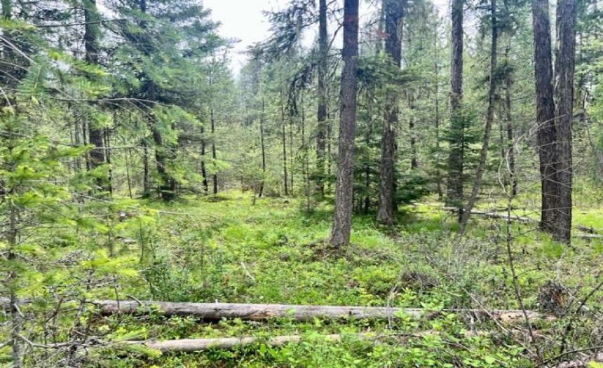 Lot A WENGER ROAD, Arrow Creek, British Columbia V0B1G9, ,Vacant Land,For Sale,WENGER ROAD,2471005