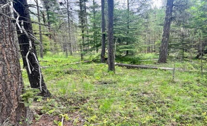 Lot A WENGER ROAD, Arrow Creek, British Columbia V0B1G9, ,Vacant Land,For Sale,WENGER ROAD,2471005